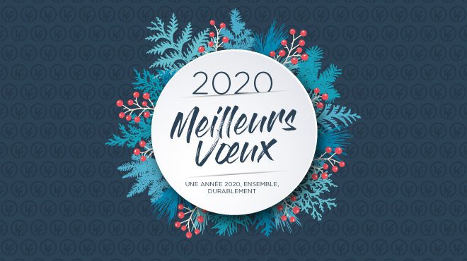 Bonne année 2020